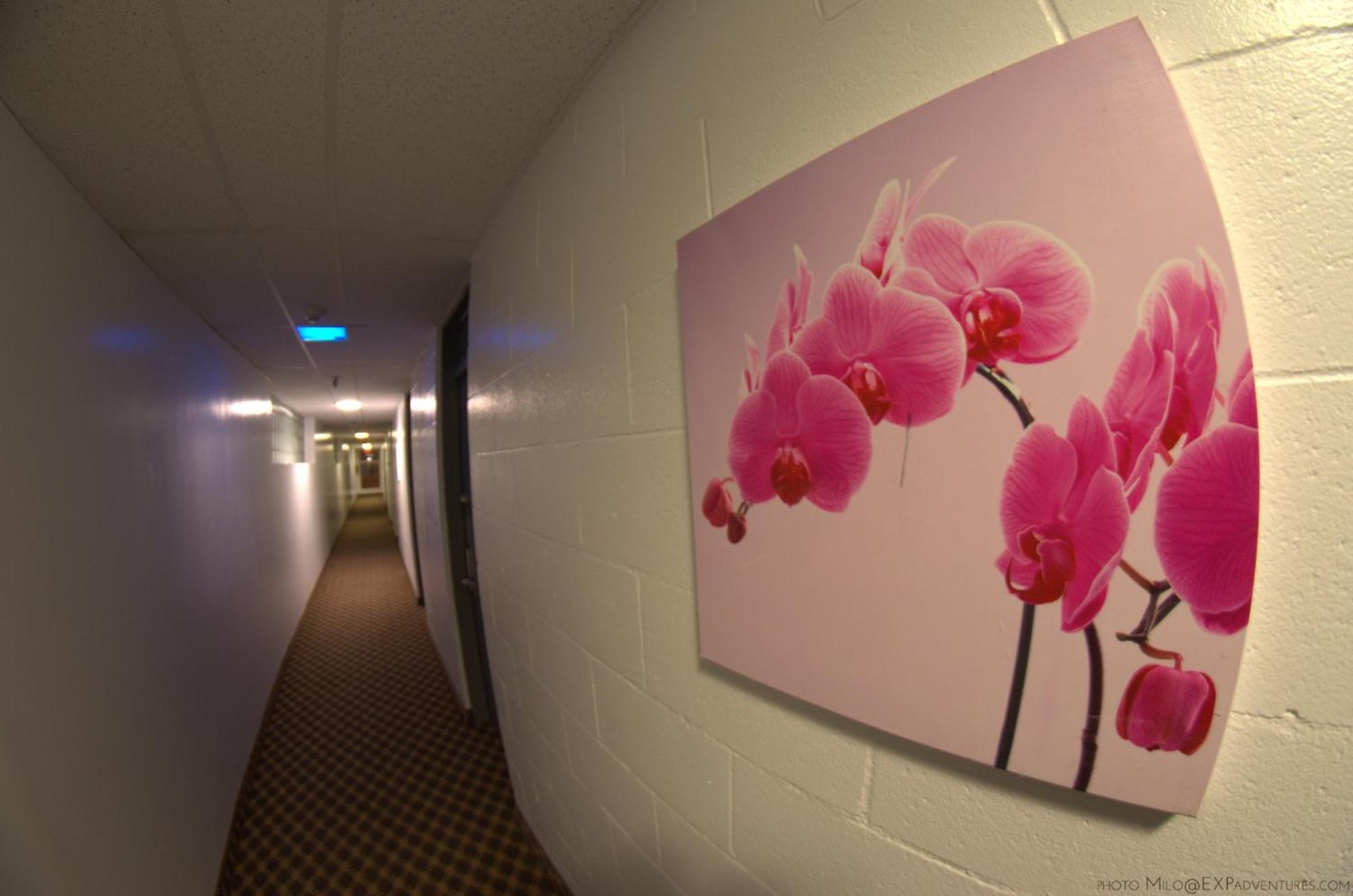 Hotel Royal Plaza Winnipeg Esterno foto